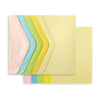 Заготовки за Картички, А6 (105 x 148 mm) с Пликове, Пастелни Цветове, по 5 Броя Заготовки за Картички, А6 (105 x 148 mm) с Пликове, Пастелни Цветове, по 5 Броя