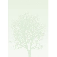 Дизайнерска Хартия, Сатен - Дърво, 50 Листа, А4, 100гр./кв.м